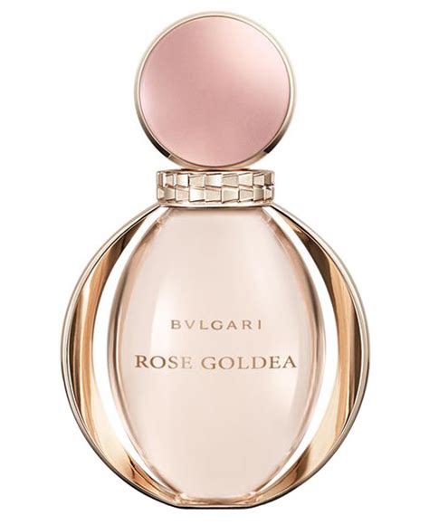 rose goldea fragrantica